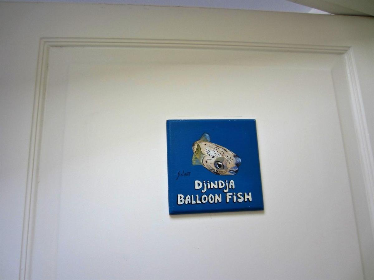 Den Laman - Balloonfish Playa Exteriér fotografie